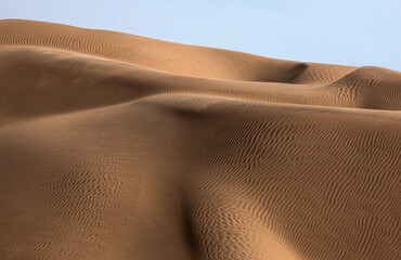 Dunes of the Namib