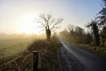 Foggy Fresh Morning at Irish Countryside Landscape