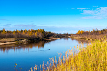 Autumn forest by the river, beautiful landscape