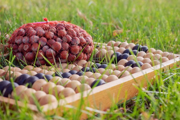 Fototapety na wymiar - Fototapeta24.pl