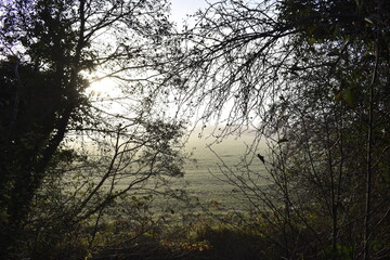 Beautiful Sunrise in Irish Countryside
