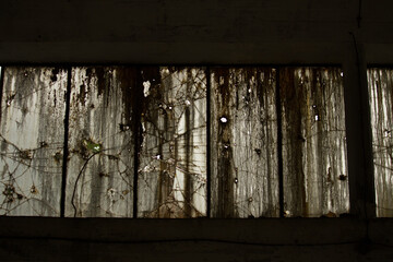 Fenster