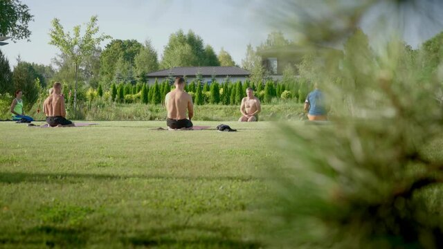 yoga on green grass outside