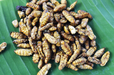 bunch of fresh asparagus