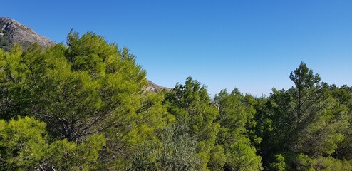 sky, landscape, nature, mountain, tree, forest, blue, green, trees, clouds, summer, grass, mountains, hill, park, woods, autumn, day, cloud, beautiful, view, wood, environment, travel, panorama