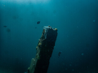 Marine structures
