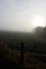 Fresh Morning Irish Countryside