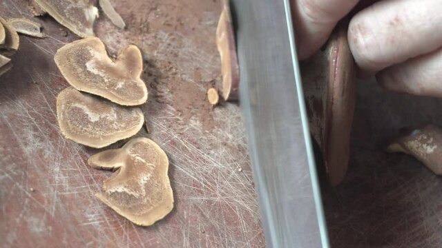 woman hand use knife cut ganoderma into piece