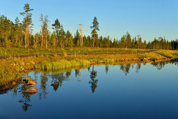 Forest lake shore at sunset time. Finnish Lapland