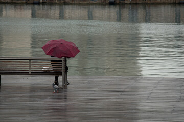 Unrecognizable woman with red umbrella sitting on a wooden bench in the rain