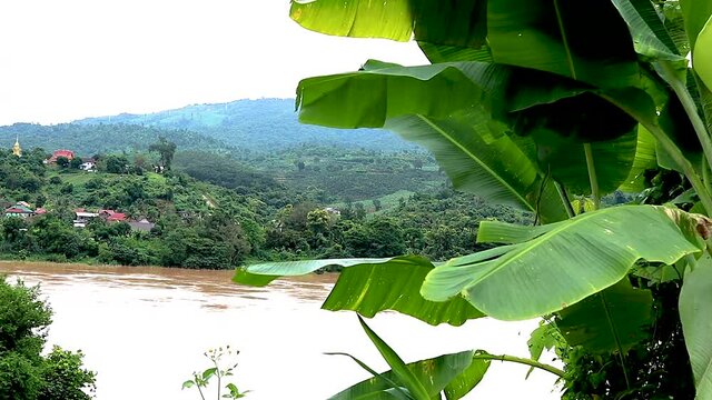 Looking accross the Meekong River to Laos from Thailand