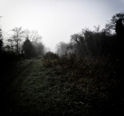 Foggy Irish Countryside
