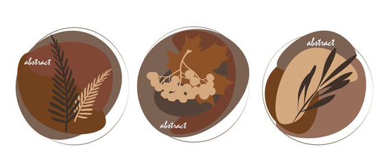 
abstract leaves on white background
