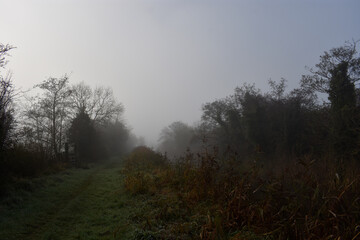 Fototapeta na wymiar Foggy Irish Countryside