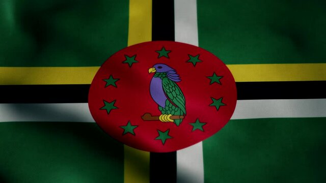 Flag of Dominica, slow motion waving. Looping animation. Ideal for sport events, led screen, international competitions, motion graphics etc
