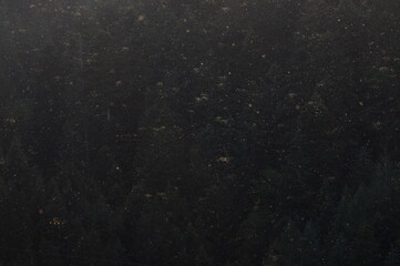 Die Mücken sind los!!!