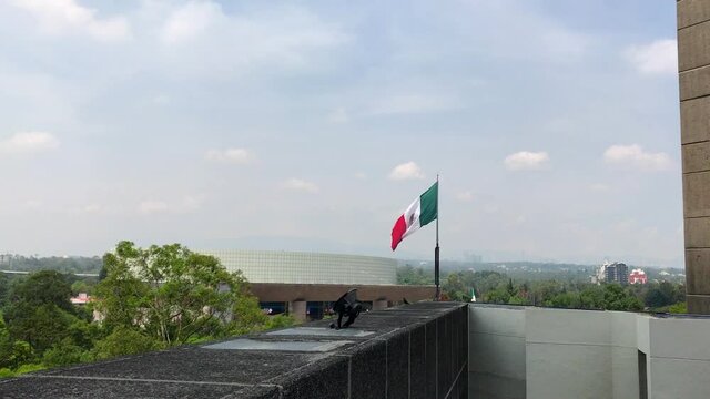 Mexican falg in slow motion