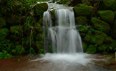 Fototapeta na wymiar waterfall in the forest stream