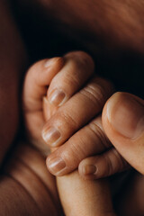Portrait of little hand of adorable newborn baby girl hold a parent finger, happy family enjoy...