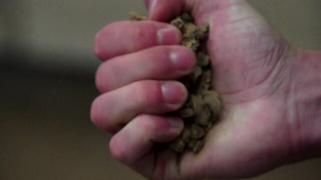 A man crushing some stones in his hand.