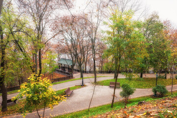 Beautiful autumn park Volodymyrska Hirka or Saint Volodymyr Hill at misty late fall day, Kyiv (Kiev), Ukraine. Scenic landscape with pedestrian walk way, bench, alcove, trees and colorful leaves