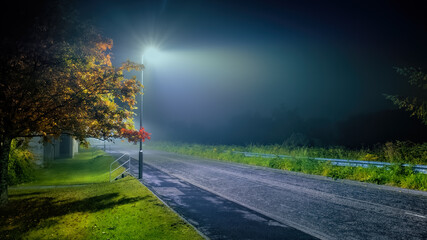 Autumn colours  on a foggy night by a road lit by a streetlight
