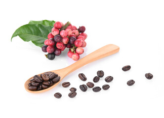 coffee beans  isolated on white background