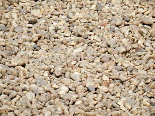 Gravel at the Victoria Memorial Kolkata, West Bengal