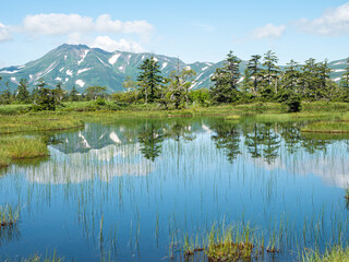 夏山 湿原 登山 青空