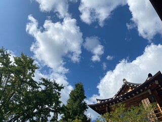 pavilion in the park