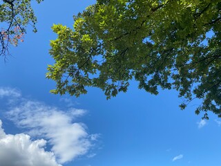 Obraz premium sky and clouds