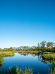 夏山 湿原 登山 青空