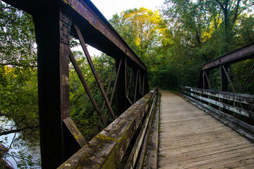bridge in the forest