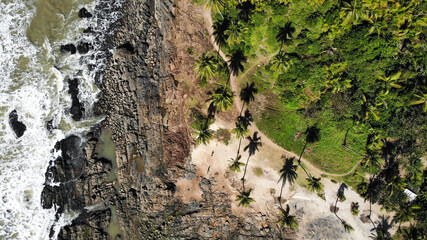 Obraz premium The amazing nature of Itacaré city, in Bahia. Beautiful beaches, palm trees and good waves. Shot with drone.