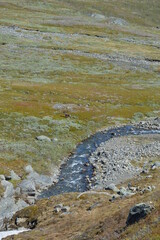 Climbing Kebnekaise in Lapland, Sweden's highest mountain