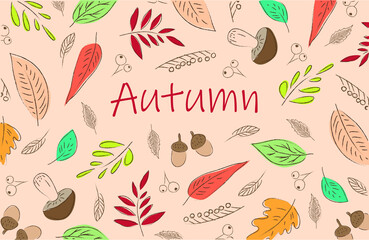 Autumn illustration. Acorns, mushrooms, autumn leaves. Orange themed autumn illustration. Autumn vector colored pattern. Autumn forest.