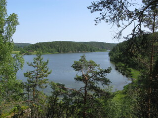 lake view in the forest