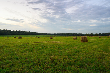 green field with haystacks in the Russian countryside