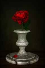 Fototapeta premium Red rose in a white marble vase. Minimalism. Still life.