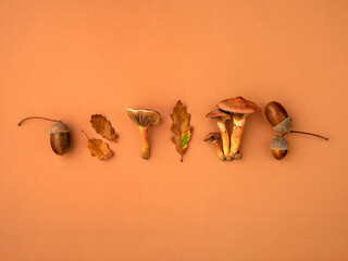 Background with stuff from an autumn forest.