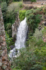 Obraz na płótnie Canvas the nepi waterfall surrounded by greenery