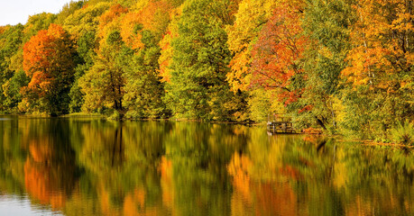 Fototapeta premium Beautiful morning landscape in an autumn park with picturesque trees by the lake