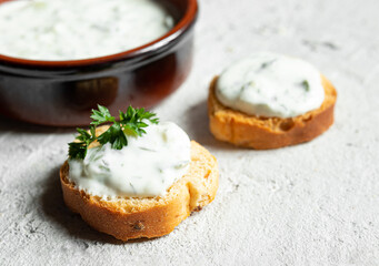Crostini or bruschetta with traditional greek tzatziki sauce and a bowl close-up on the gray background
