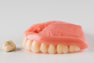 image of a modern denture nylone