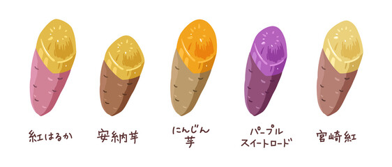 いろいろな種類の焼き芋のイラスト