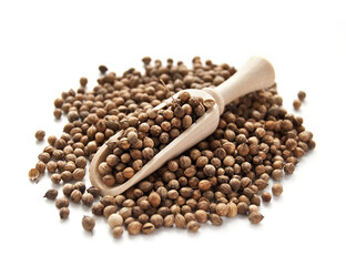 Wooden shovel with coriander seeds on white background