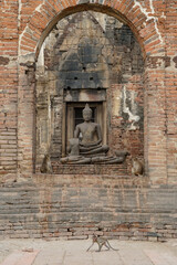 Fototapeta na wymiar Monkeys in a brick temple archway in Lopburi