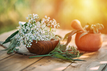 Fresh valerian flowers in wooden plate on table. mortar with prepared potion of valerian root. use of medicinal plants in traditional medicine.
