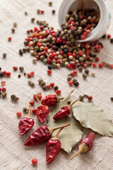 Dry spices, peppercorn and chili pepper on the coarse texture