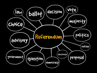 Referendum mind map, concept for presentations and reports